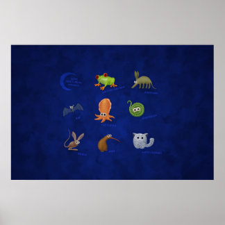 Nocturnale Tiere Poster