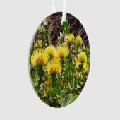 Nodding Pincushion Yellow Bird #1 Ornament (Vorderseite)