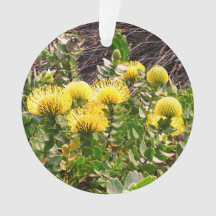 Nodding Pincushion Yellow Bird #1 Ornament