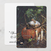 Noecard Dankeskarte (Vorne/Hinten)