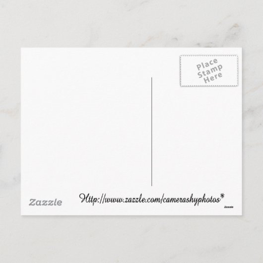 Noel Snowmen Feiertagspostkarte (Rückseite)