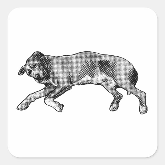 Noel Stretch, Long and Light Quadratischer Aufkleber (Vorderseite)