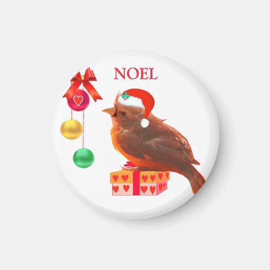Noel-Vogelmagnet Magnet (Vorne)