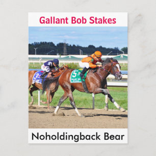 Noholdingback Bear - Gallery Bob Postkarte