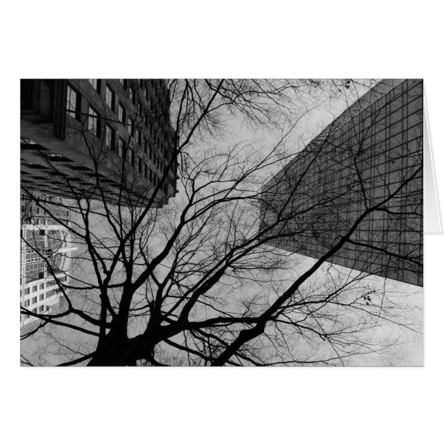 Noir City (Vorderseite (Horizontal))