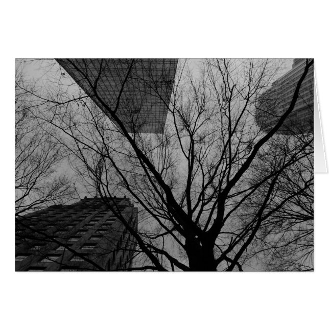 Noir City (Vorderseite (Horizontal))