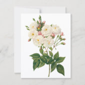 Noisette Rose von Redoute Einladung (Vorderseite)