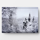 Nojiri Foto Plaque Fotoplatte (Vorderseite)