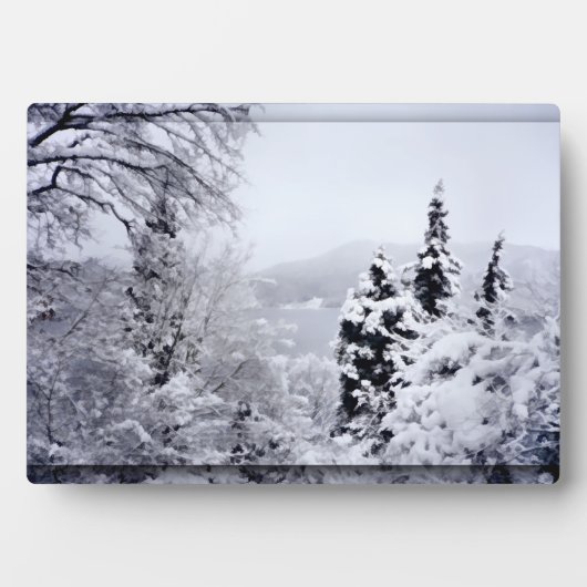 Nojiri Foto Plaque Fotoplatte (Vorderseite)