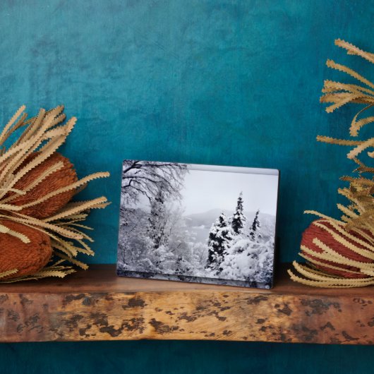 Nojiri Foto Plaque Fotoplatte (Seite)