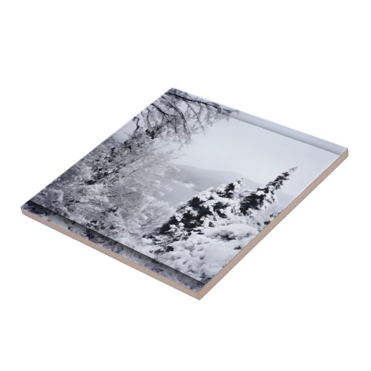 Nojiri Highlights Fliese (Seite)