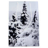 Nojiri-See-Gifttasche Mittlere Geschenktüte (Vorderseite)