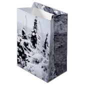 Nojiri-See-Gifttasche Mittlere Geschenktüte (Vorderseite Schrägansicht)