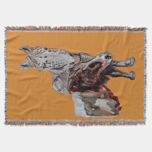 Nokomis Decke (Vorderseite)