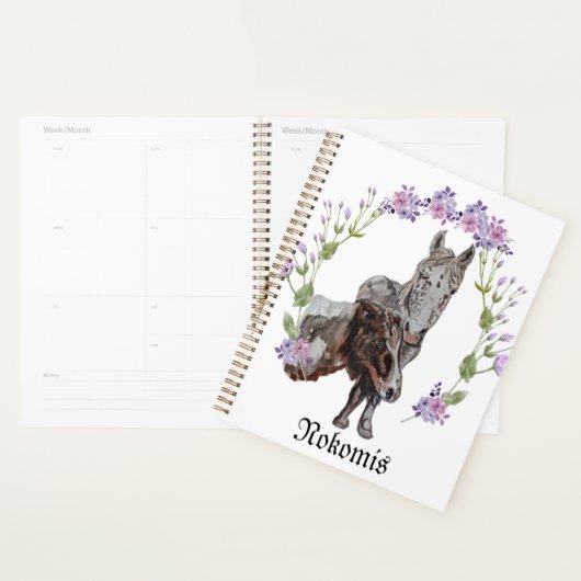 Nokomis Planer (Anzeige)