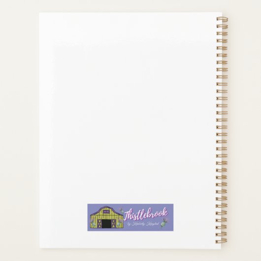 Nokomis Planer (Rückseite)