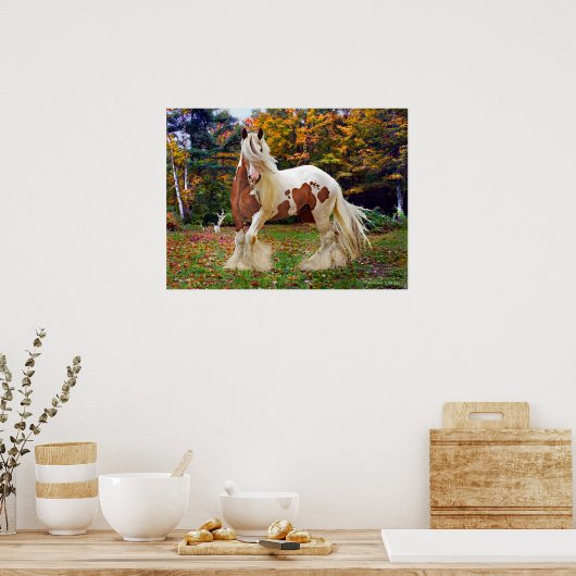 "Nokomis" Poster (Küche)