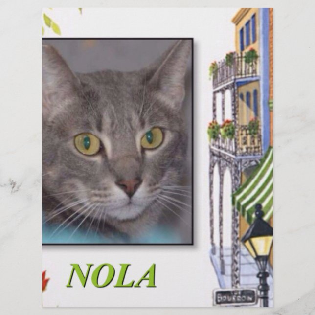 NOLA (Vorderseite)