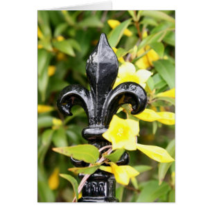 NOLA NEW ORLEANS LOUISIANA DESIGNS