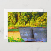 Nola's Tubs Postkarte (Vorne/Hinten)