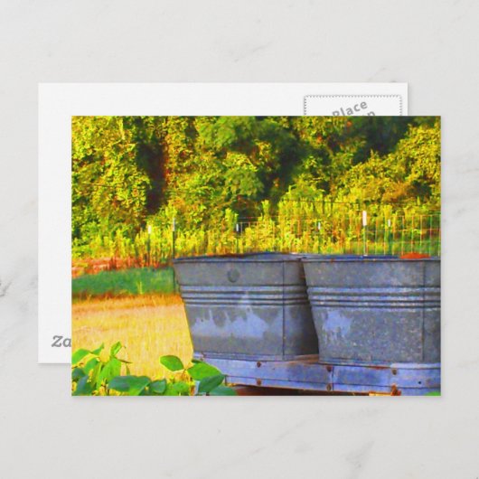 Nola's Tubs Postkarte (Vorne/Hinten)