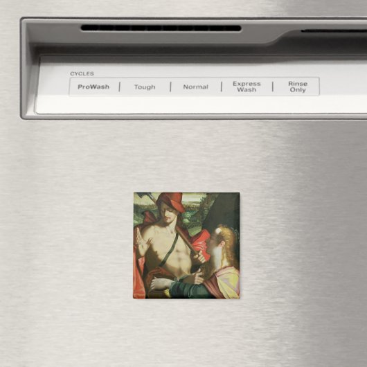 Noli Me Tangere 2 Magnet (In Situ (Geschirrspüler))