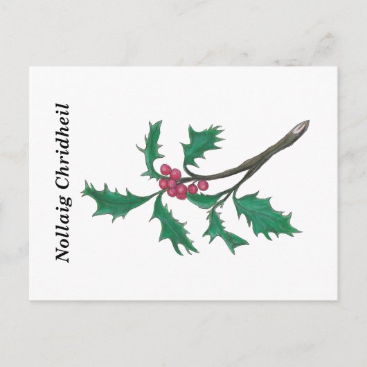 Nollaig Chridheil (frohe Weihnachten auf Gälisch) Postkarte (Vorderseite)