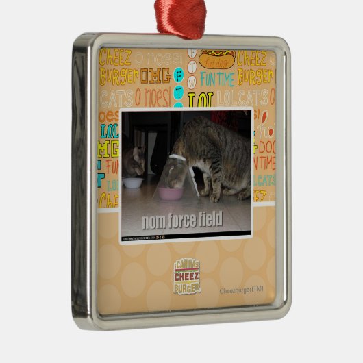 nom Kraftfeld Silbernes Ornament (Rechts)