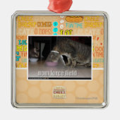 nom Kraftfeld Silbernes Ornament (Vorne)