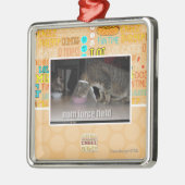 nom Kraftfeld Silbernes Ornament (Links)