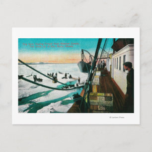 Nome, Alaska Steamer Corwin Entladen Fracht Postkarte