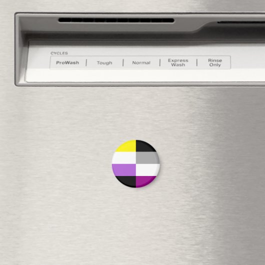 Nonbinary Asexual Dual Pride Flag Magnet (In Situ (Geschirrspüler))