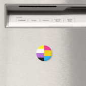 Nonbinary Pansexual Dual Pride Flag Magnet (In Situ (Geschirrspüler))