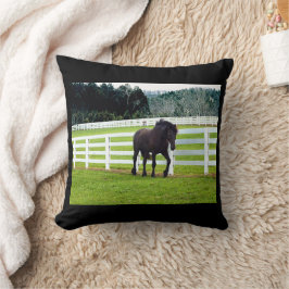 Nonesuch am Cedar Point Kissen