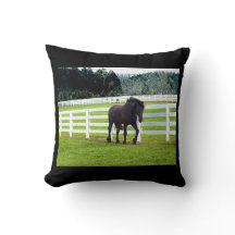 Nonesuch am Cedar Point