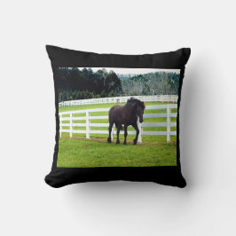 Nonesuch am Cedar Point Kissen