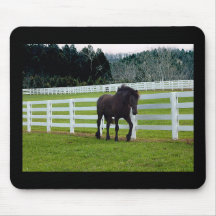 Nonesuch am Cedar Point