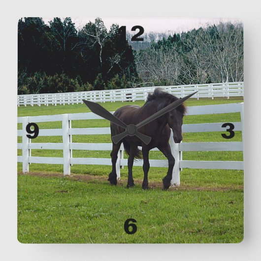 Nonesuch am Cedar Point Quadratische Wanduhr (Vorderseite)