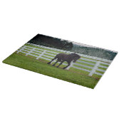 Nonesuch am Cedar Point Schneidebrett (Ecke)