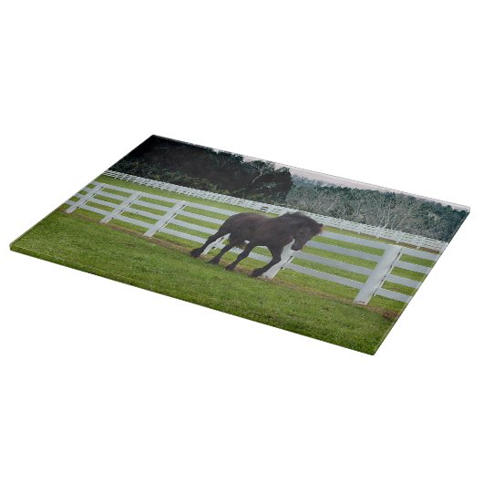 Nonesuch am Cedar Point Schneidebrett (Ecke)