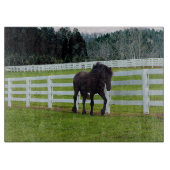 Nonesuch am Cedar Point Schneidebrett (Vorderseite)