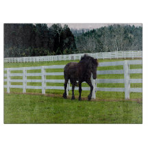 Nonesuch am Cedar Point