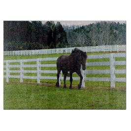 Nonesuch am Cedar Point Schneidebrett