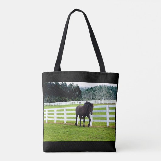 Nonesuch am Cedar Point Tasche (Rückseite)