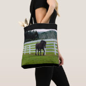 Nonesuch am Cedar Point Tasche (Von Nahem)