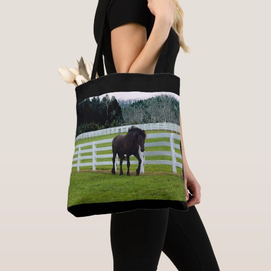 Nonesuch am Cedar Point Tasche (Von Nahem)