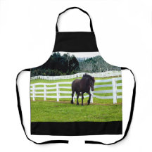 Nonesuch an der Cedar Point-Schürze