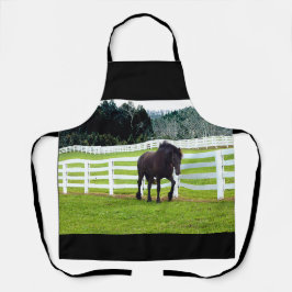 Nonesuch an der Cedar Point-Schürze Schürze