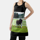 Nonesuch an der Cedar Point-Schürze Schürze (InSitu)