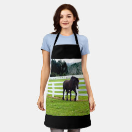 Nonesuch an der Cedar Point-Schürze Schürze